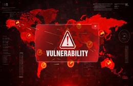 VULNERABILITY IN VERSA DIRECTOR SERVERS